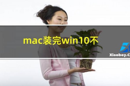 mac装完win10不能联网