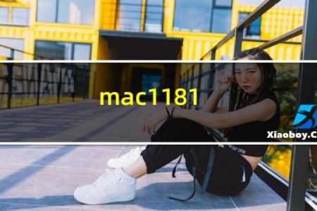 mac1181 装win7